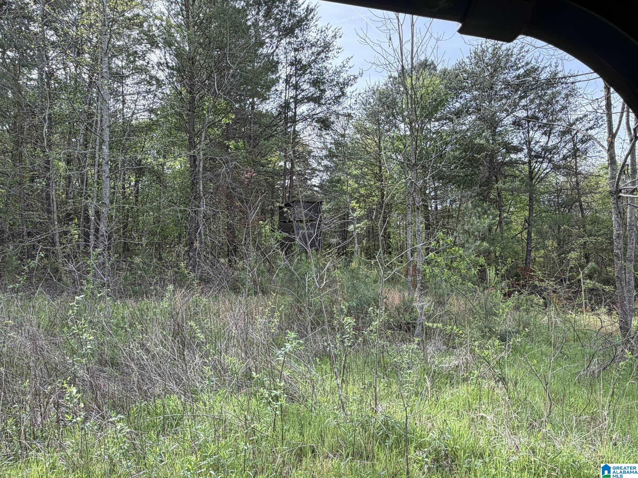 2121 Center Hill Road Trafford, AL 35172 - Photo 68 of 100