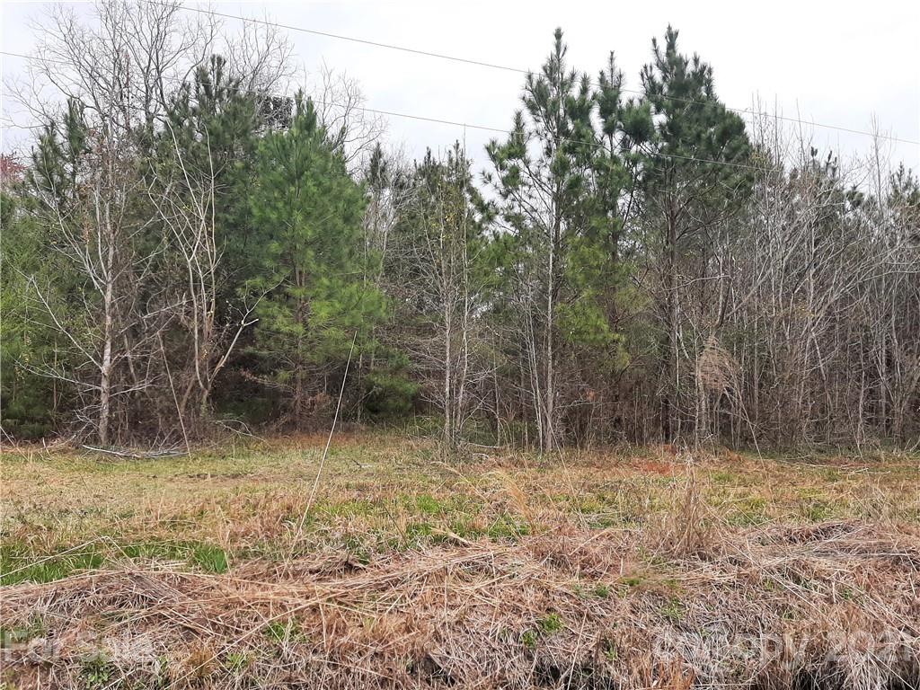 4870 Narrow Paved Road Lynchburg, SC 29080 - Photo 3 of 5 Gallery Image 3