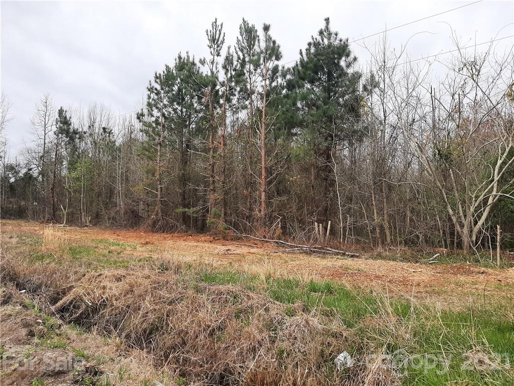 4870 Narrow Paved Road Lynchburg, SC 29080 - Photo 4 of 5 Gallery Image 4