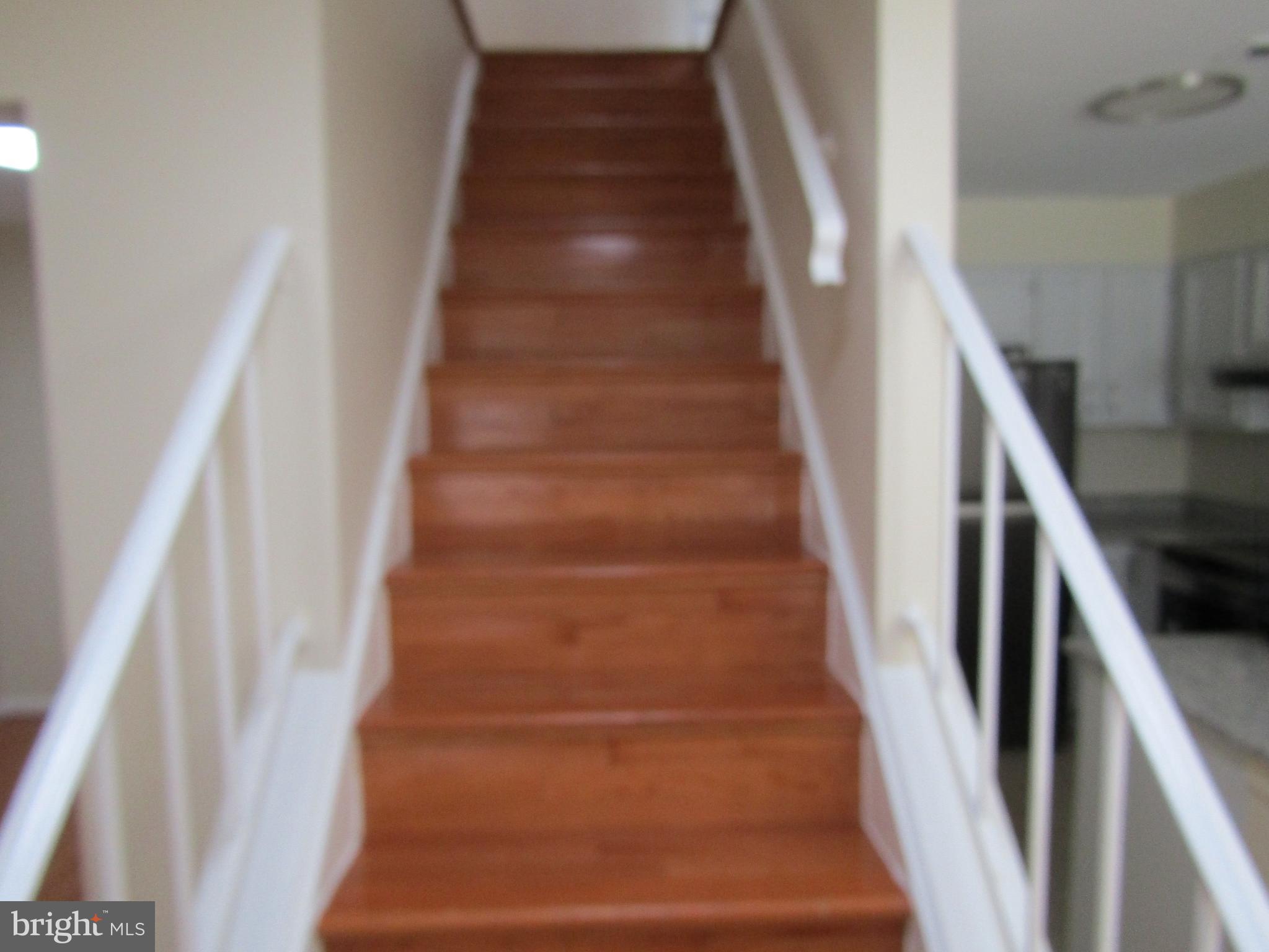 6013 Rabbit Hill Court Centreville, VA 20121 - Photo 27 of 54 Whole House new Paint