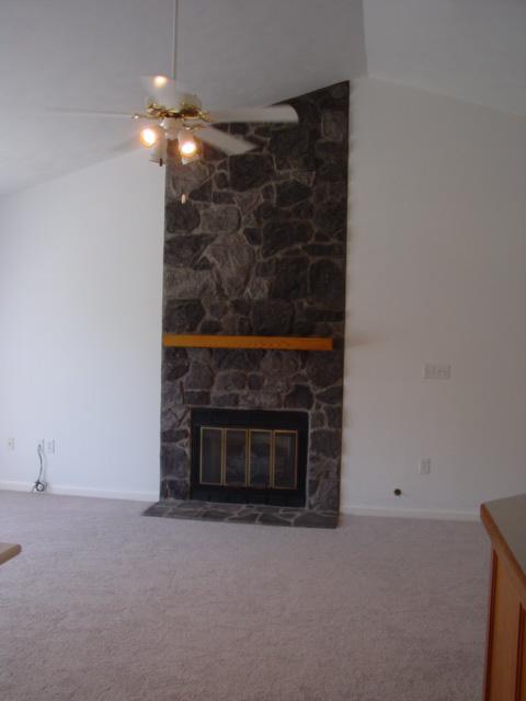 4661 Nemmo Road Vinton, VA 24179 - Photo 8 of 34 a room with a fireplace and a chandelier fan
