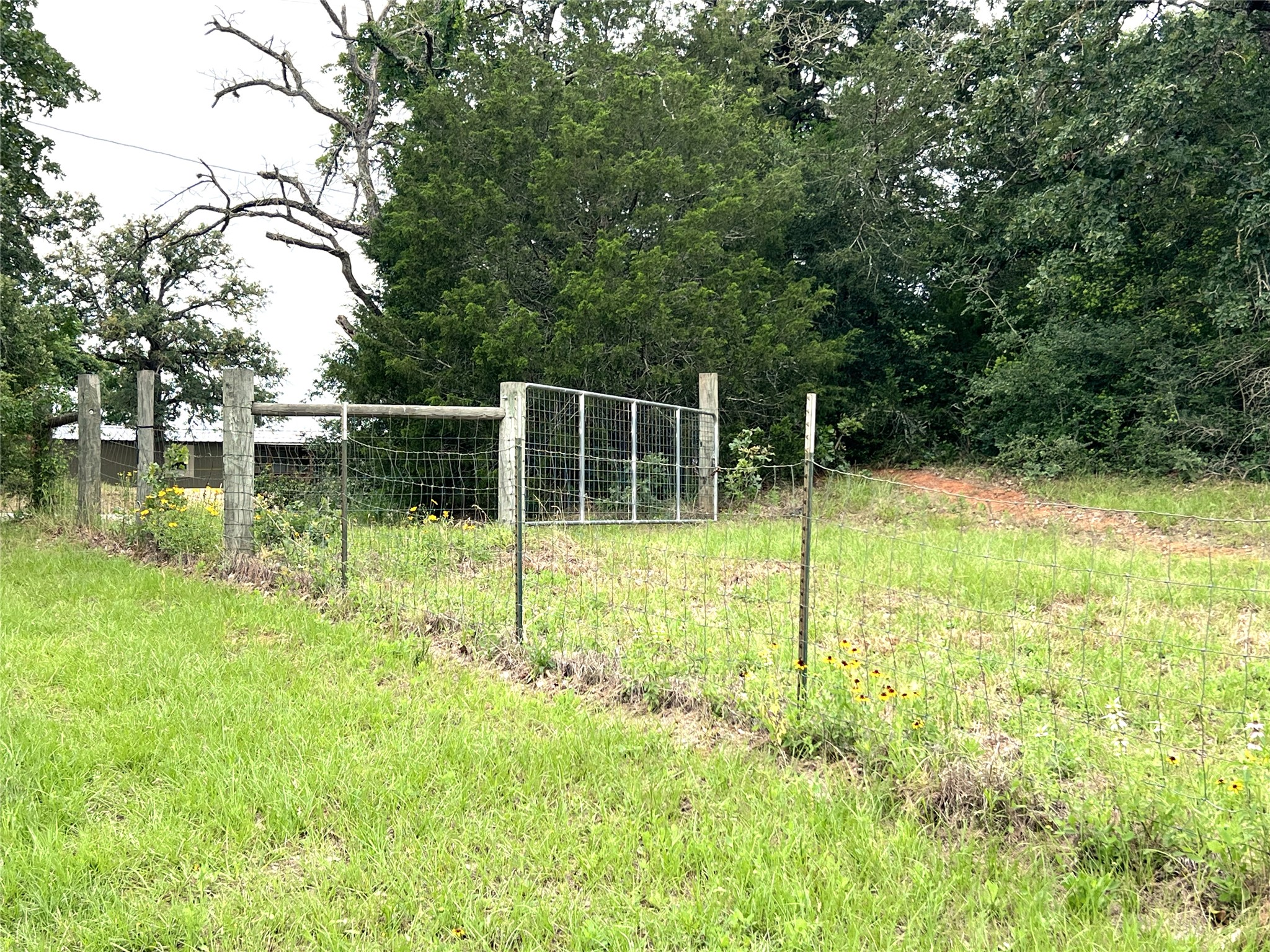 160 Rosanky Cattle Company Road, Unit R Smithville, TX 78957 - Photo 6 of 19 a view of a house with a backyard