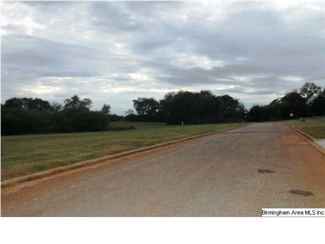 85 Sterling Road Eastaboga, AL 36260 - Photo 26 of 30