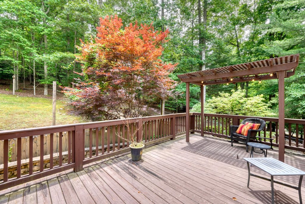 2930 Hicks Gap Road Blairsville, GA 30512 - Photo 7 of 64