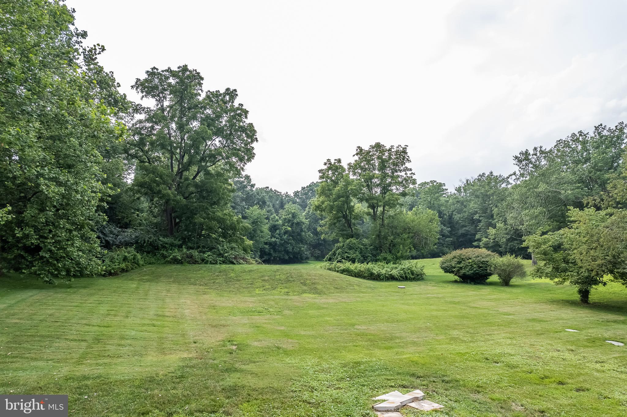 442 Saylors Mill Road Spring City, PA 19475 - Photo 24 of 26 a view of a field with an trees