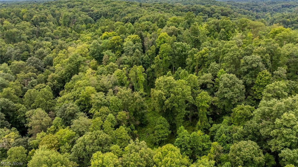 0 Bald Knob-Stiversville Road Portland, OH 45770 - Photo 9 of 20 Gallery Image 9