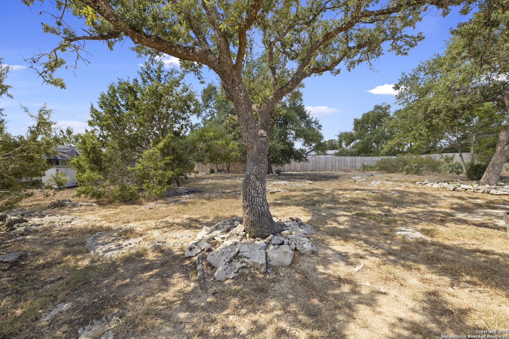 118 Red Tail Cove Spring Branch, TX 78070 - Photo 32 of 41