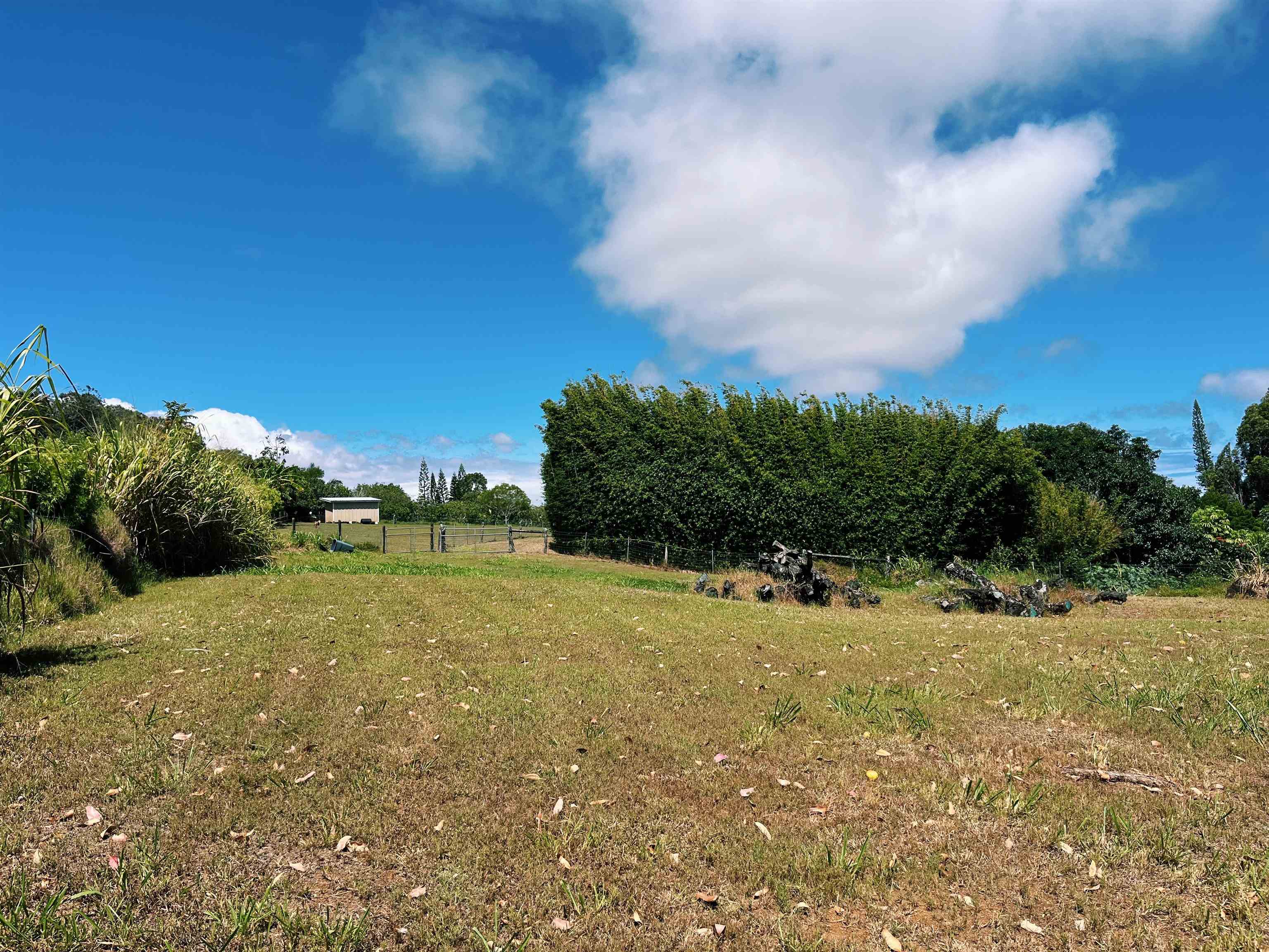 57 Awalau Road, Unit A Haiku, HI 96708 - Photo 10 of 22 a view of a field with an trees