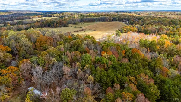 a view of a yard with a tree