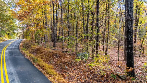 a bathroom with a shower and a shower
