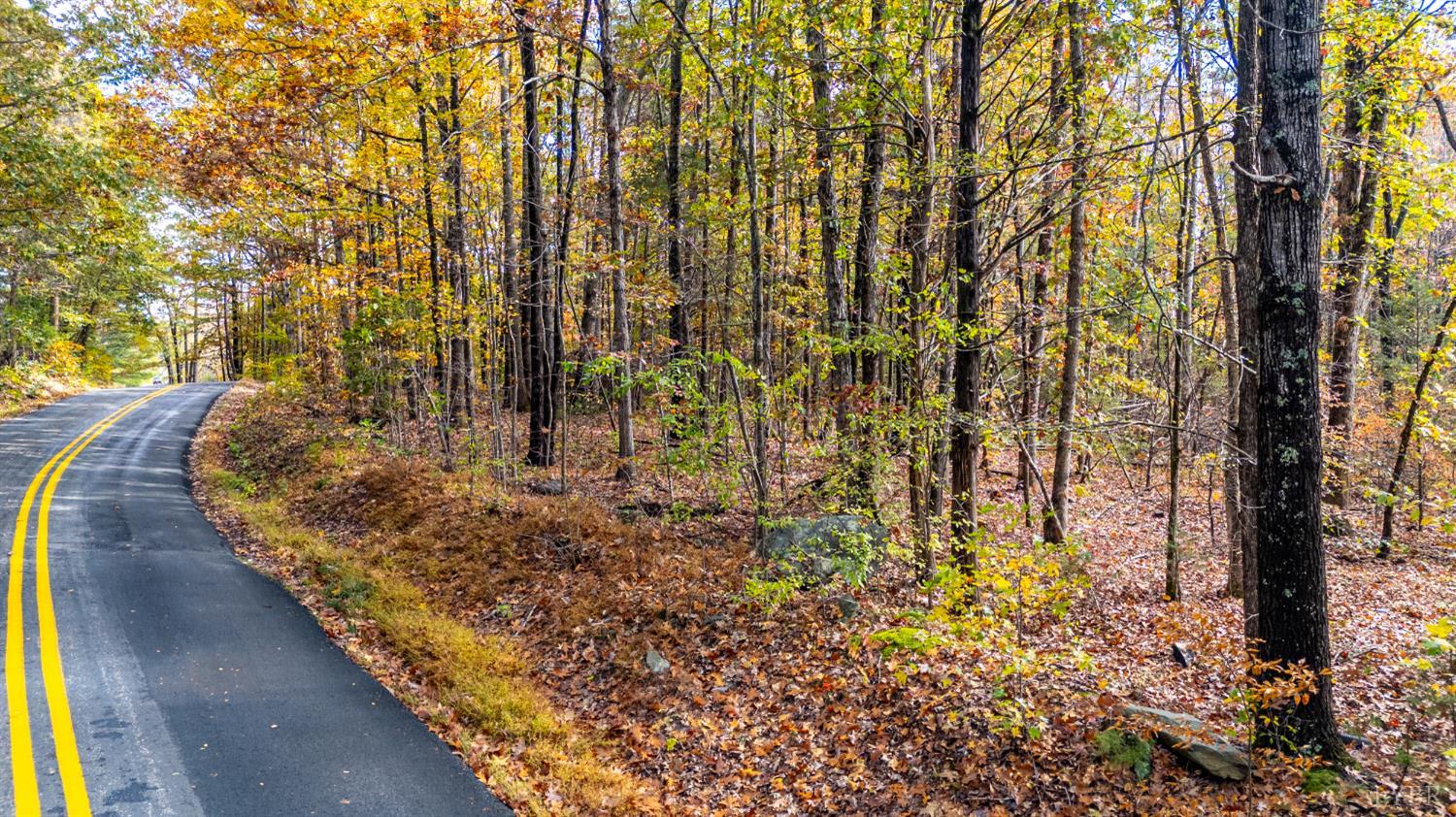 0 Prospect Road Prospect, VA 23960 - Photo 21 of 23 a view of a garden with plants and large trees