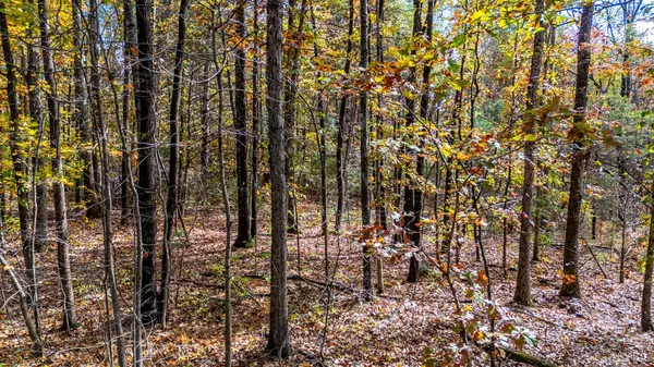 $54,900 | 0 Prospect Road, Prospect, VA 23960