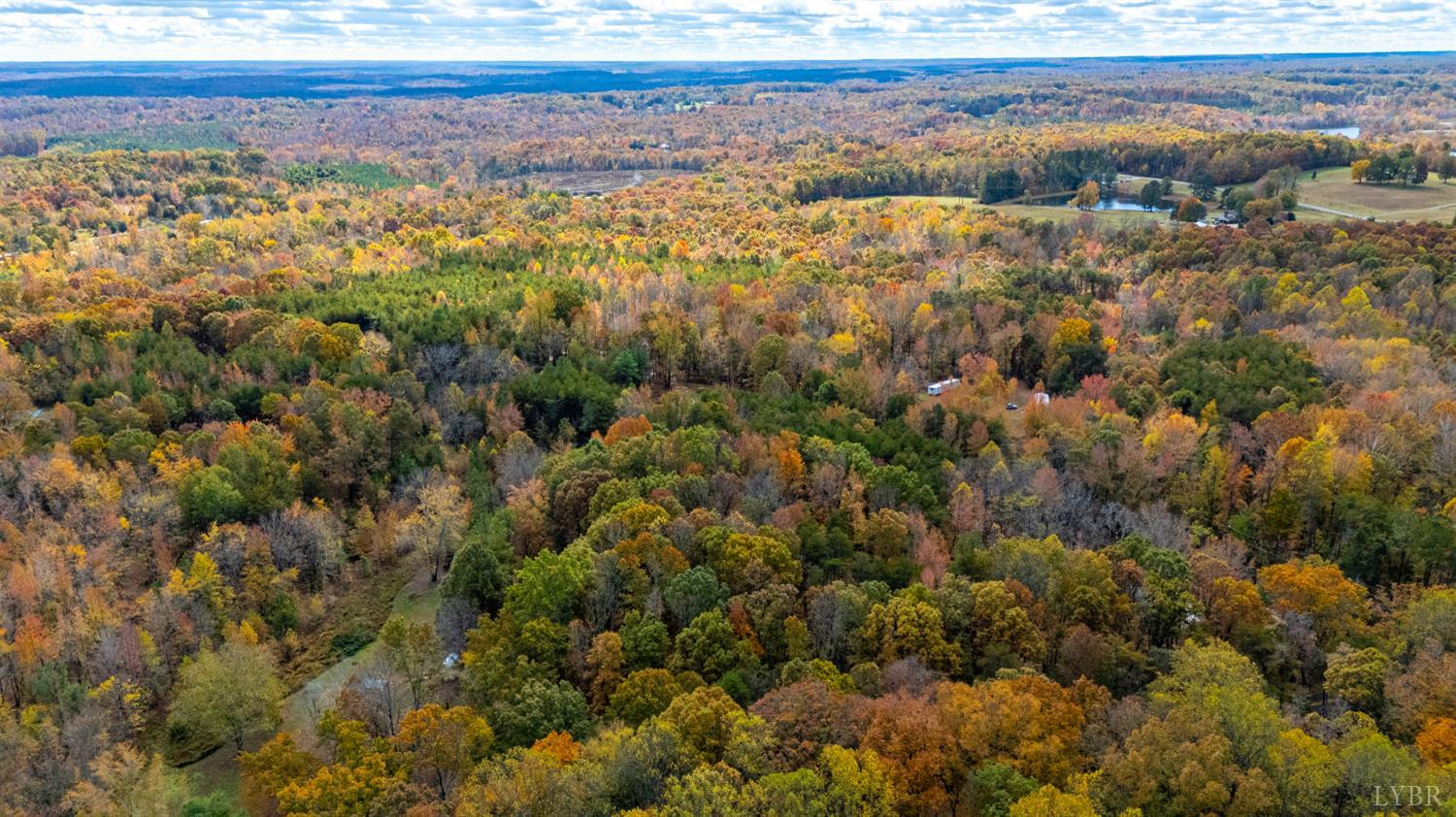 0 Prospect Road Prospect, VA 23960 - Photo 6 of 23 a view of a forest with an ocean