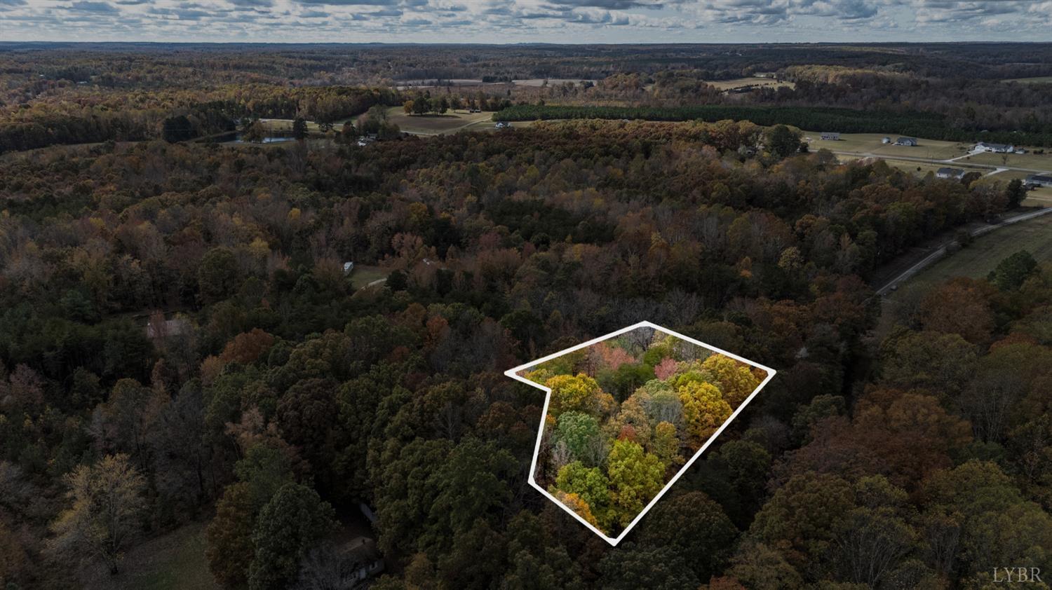 0 Prospect Road Prospect, VA 23960 - Photo 8 of 23 a view of a yard with wooden floor and a lake view