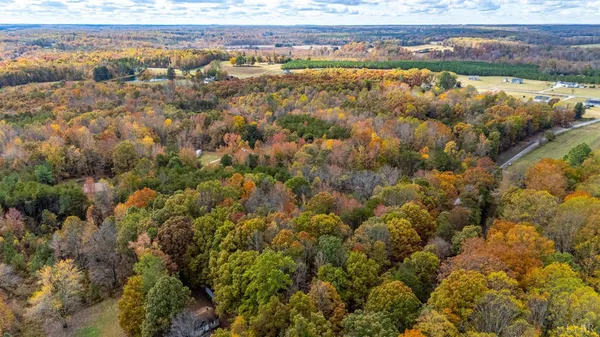 a view of a lake from a yard
