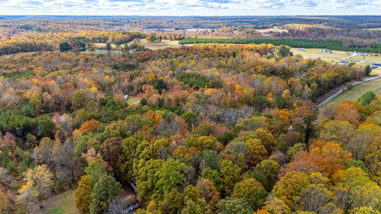 0 Prospect Road Prospect, VA 23960 - Photo 9 of 23 a view of a lake from a yard