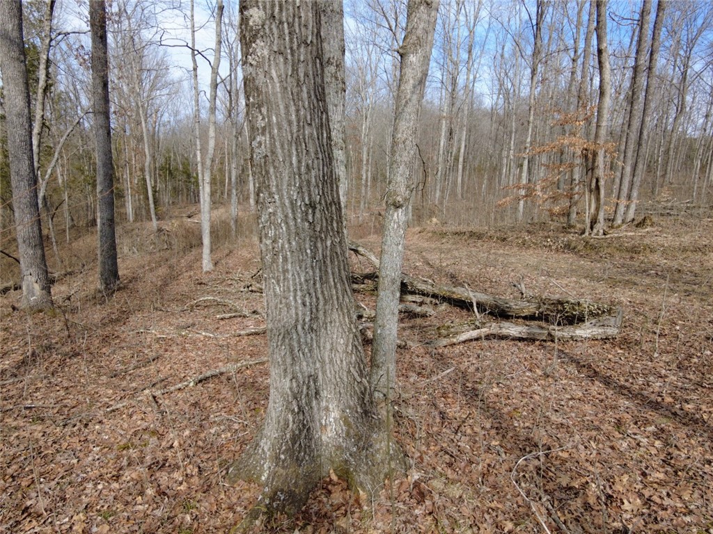 1897 Chestnut Ridge Road West Union, OH 45693 - Photo 7 of 61