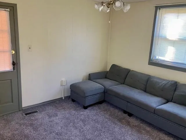 a view of a back yard from a hallway