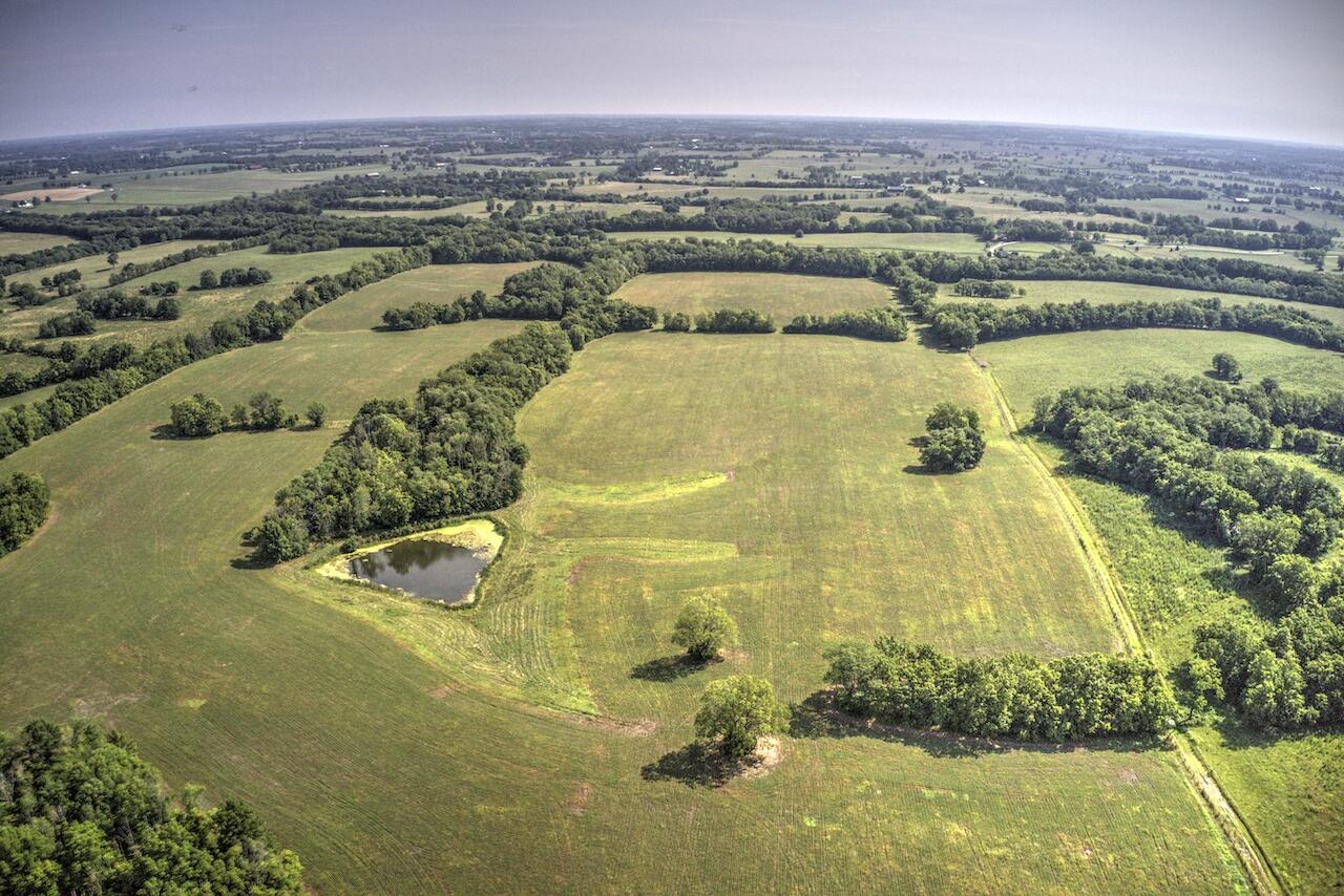 1757 Clintonville Road Paris, KY 40361 - Photo 39 of 54 DJI_0908_09_10_11_12