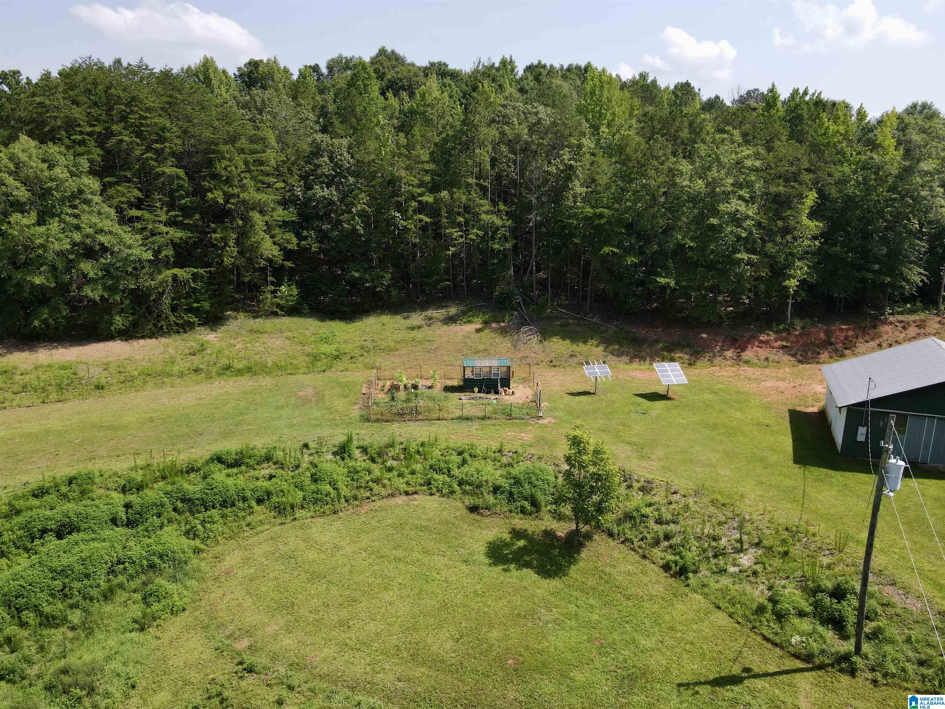 780 Lost Creek Road Delta, AL 36258 - Photo 42 of 50 Gallery Image 42