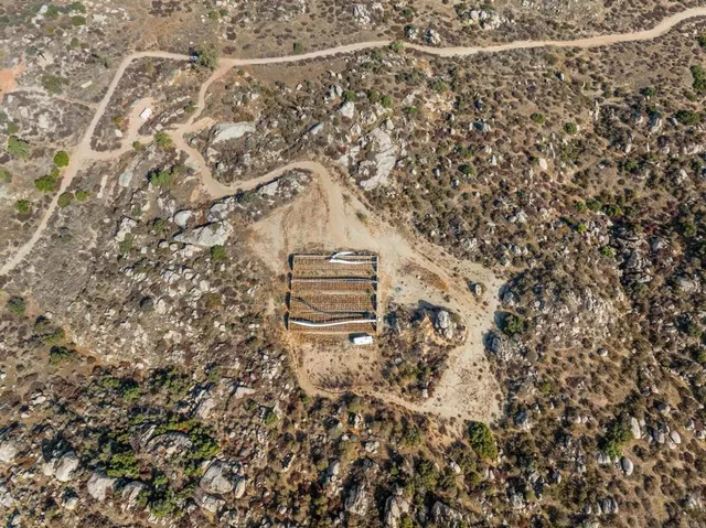 a water view of lots of trees