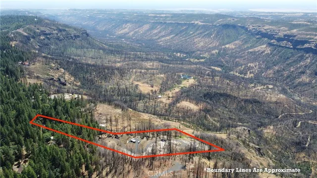 a view of outdoor space with green field and trees
