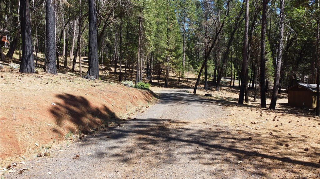 4655 Dear Abby Road Forest Ranch, CA 95942 - Photo 6 of 15 a view of snow on the side of a road