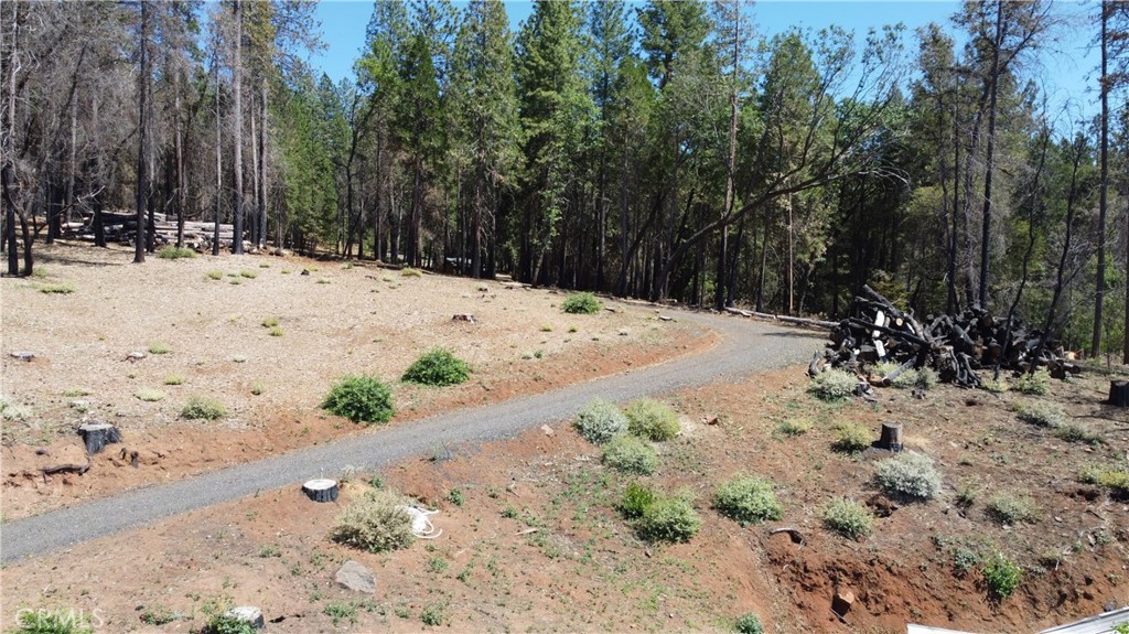 4655 Dear Abby Road Forest Ranch, CA 95942 - Photo 7 of 15 a view of a road with snow on the road