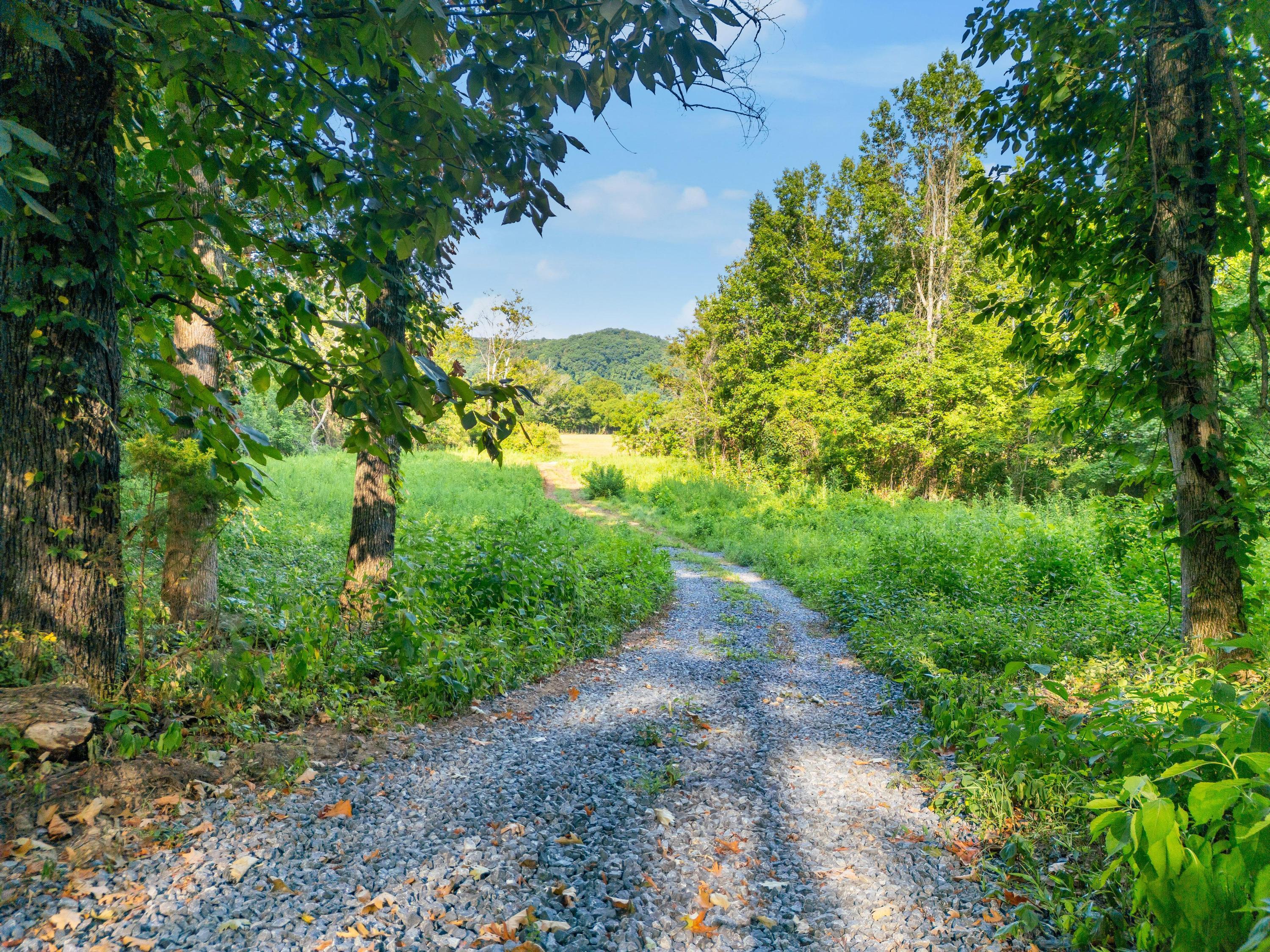 1276 Holly Glen Road, Unit 2 Decatur, TN 37322 - Photo 8 of 35 2024_07_July_1260_Holly_Glen_ln_0023