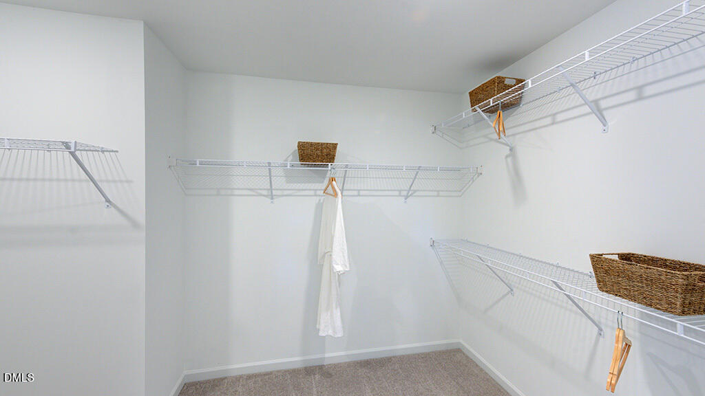 1136 Condor Jct Road Wendell, NC 27591 - Photo 29 of 43 Andrews_40