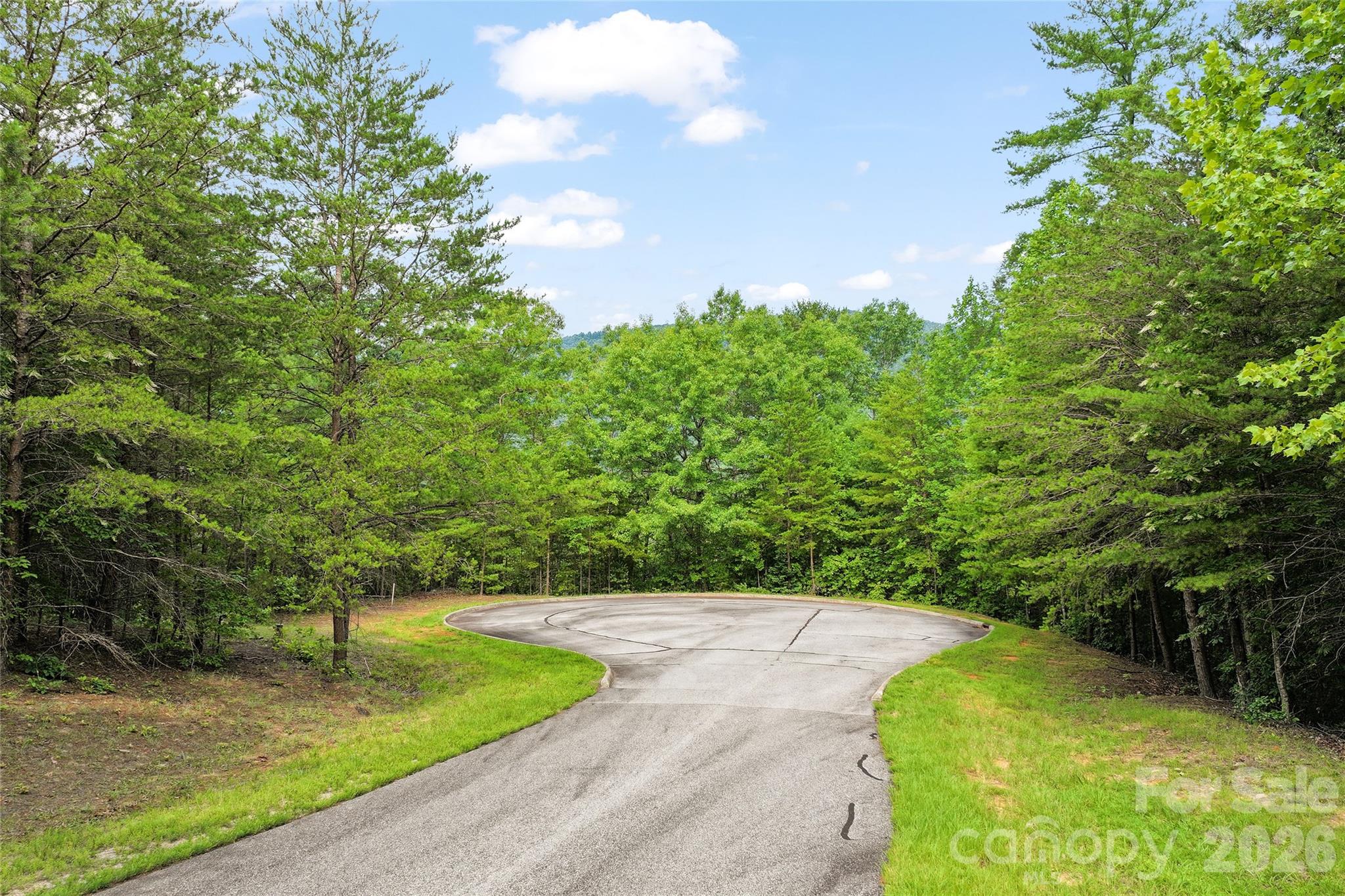 Lot 18 Stratford Pl Mill Spring Mill Spring, NC 28756 - Photo 3 of 18