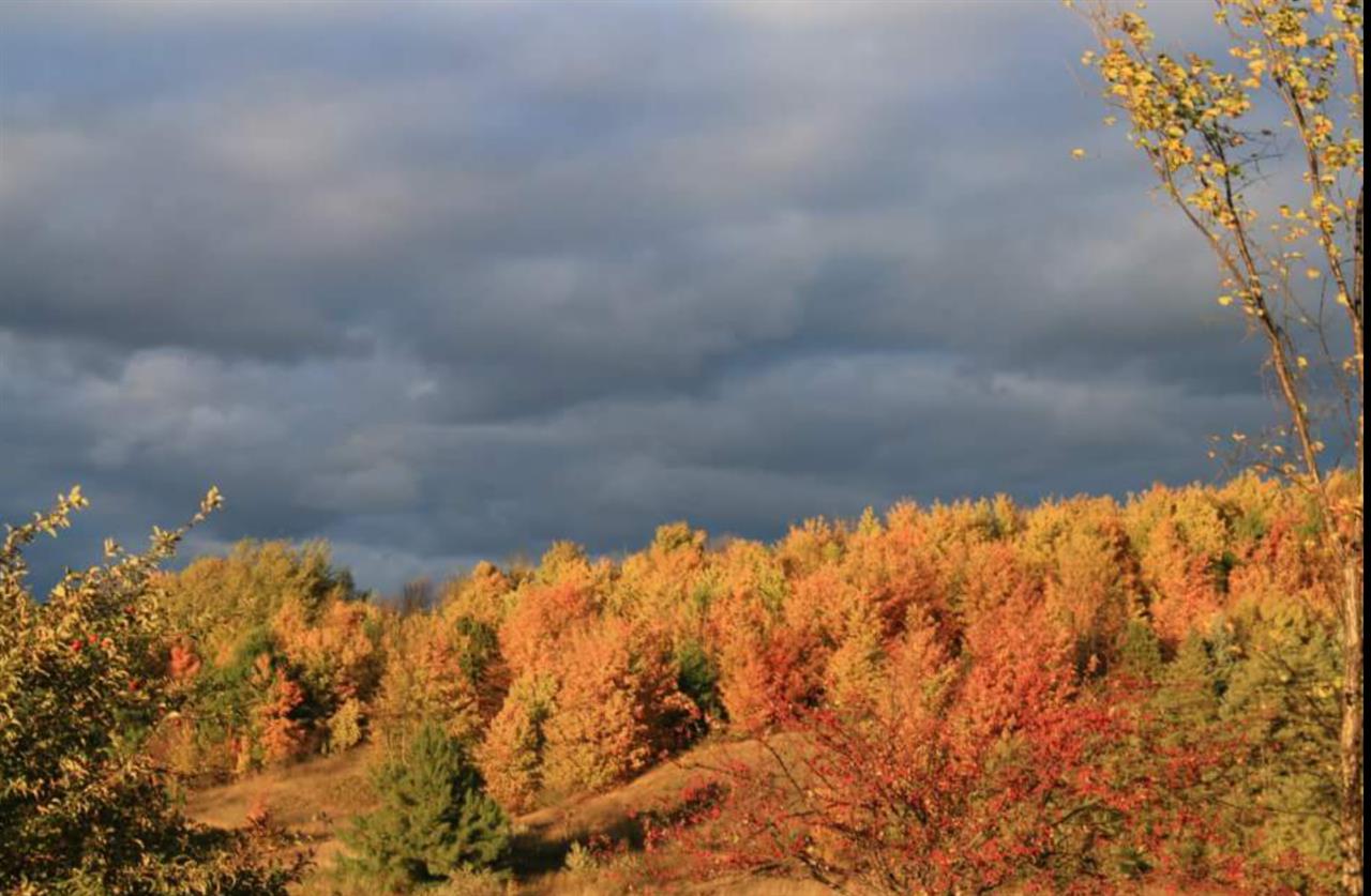 3771 Blue Water Road Traverse City, MI 49686 - Photo 34 of 36 1834462-33.JPG