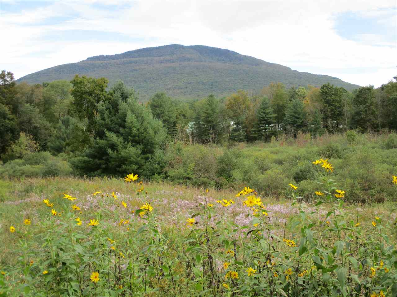 1583 N Road Manchester, VT 05255 - Photo 4 of 23 Gallery Image 4