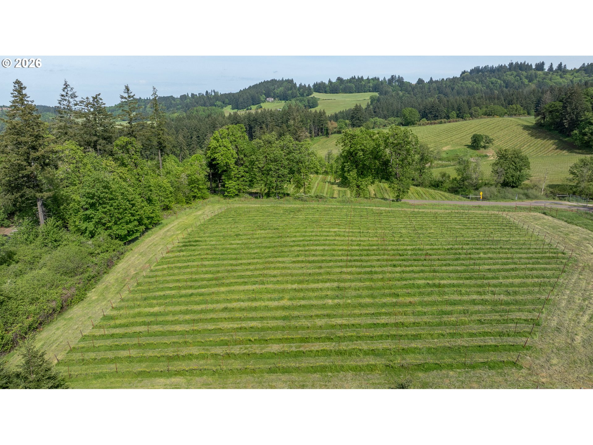 6850 Southeast Eola Hills Road Amity, OR 97101 - Photo 12 of 46