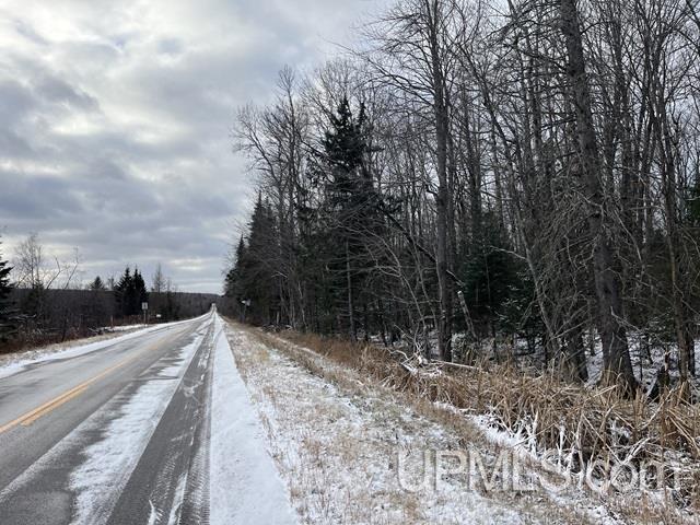 545 South Rd Skandia Mi 49885 Road Skandia, MI 49885 - Photo 1 of 38