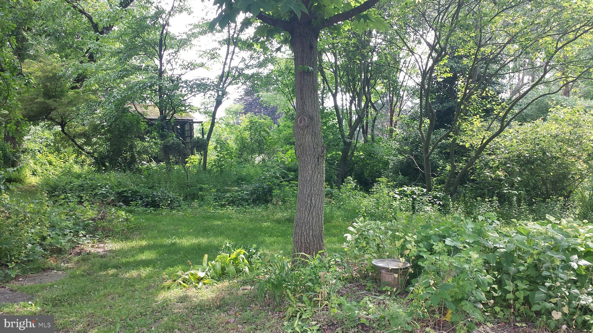 545 Weston Canal Road Somerset, NJ 08873 - Photo 3 of 41 a view of a lush green forest