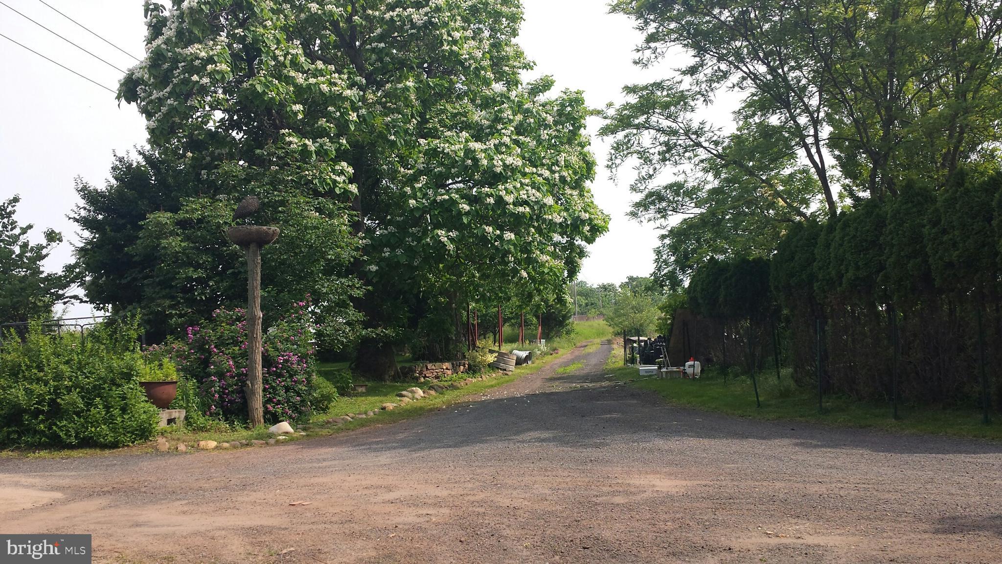 545 Weston Canal Road Somerset, NJ 08873 - Photo 9 of 41 a view of a park with trees and bushes