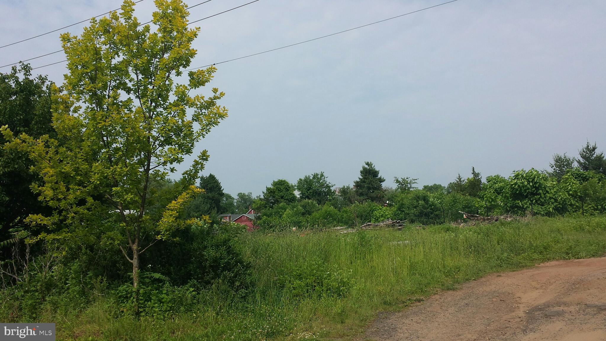 545 Weston Canal Road Somerset, NJ 08873 - Photo 10 of 41 a view of a lake from a yard