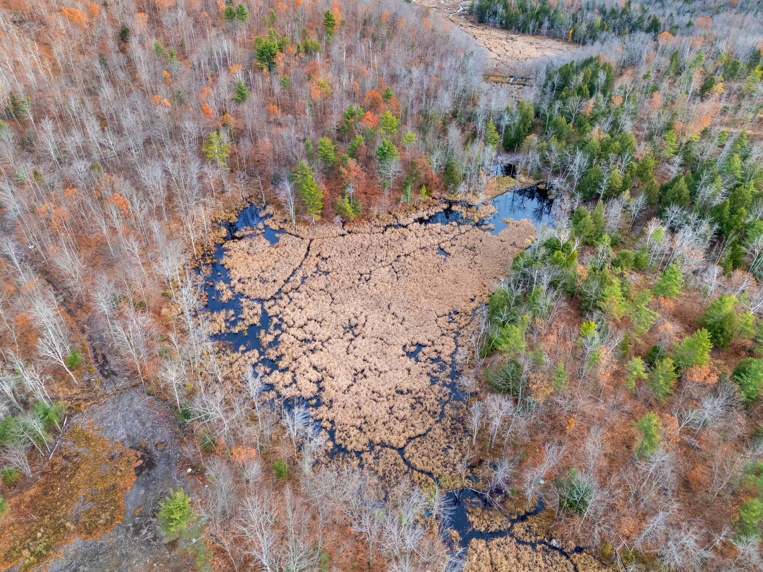 R01-l73 & R01-l73 & M8l32 Marsh Road Sabattus, ME 04280 - Photo 16 of 21 Map 8 ,Lot 32 Sabattus-Wales (16)