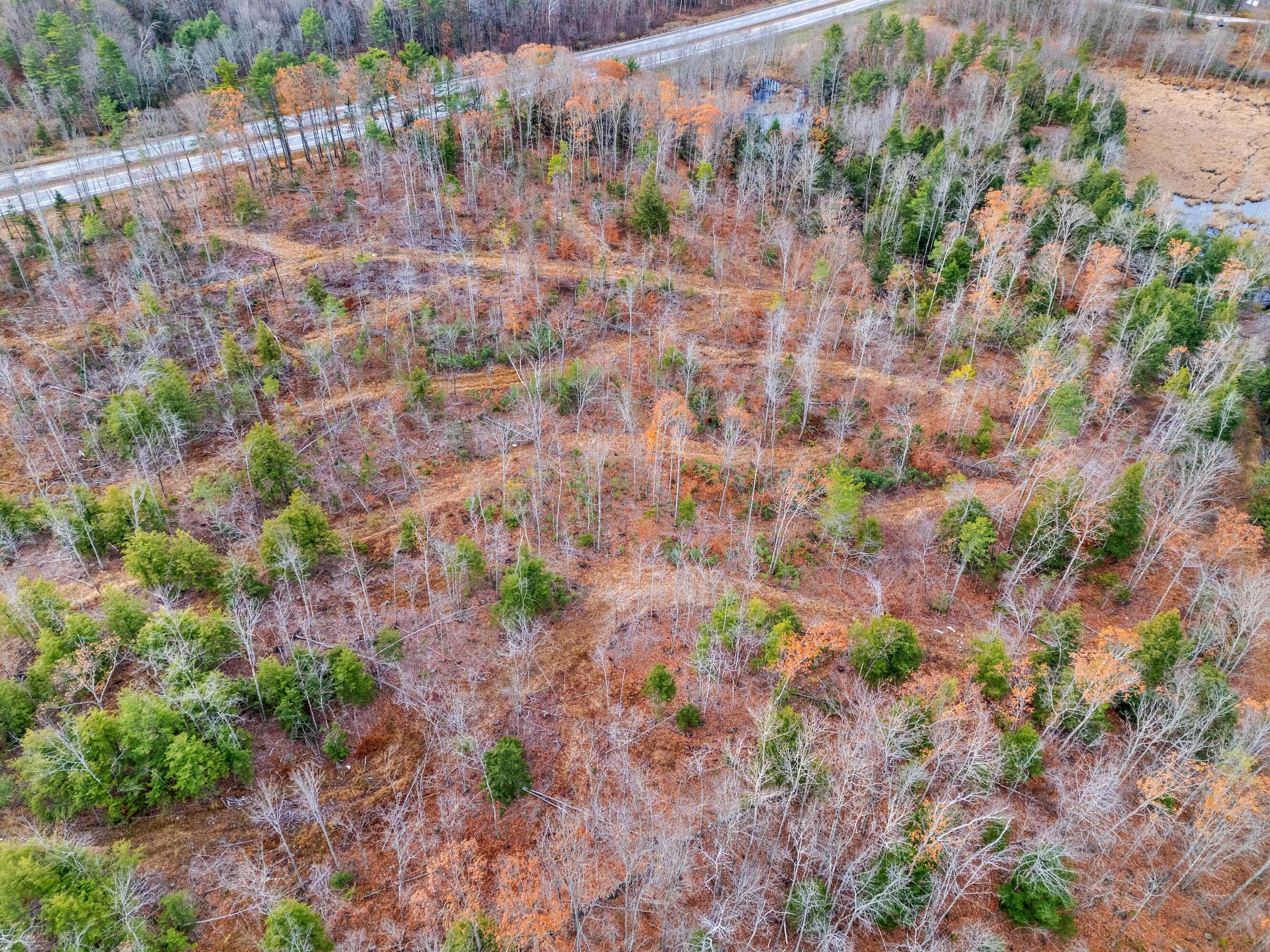 R01-l73 & R01-l73 & M8l32 Marsh Road Sabattus, ME 04280 - Photo 18 of 21 Map 8 ,Lot 32 Sabattus-Wales (18)