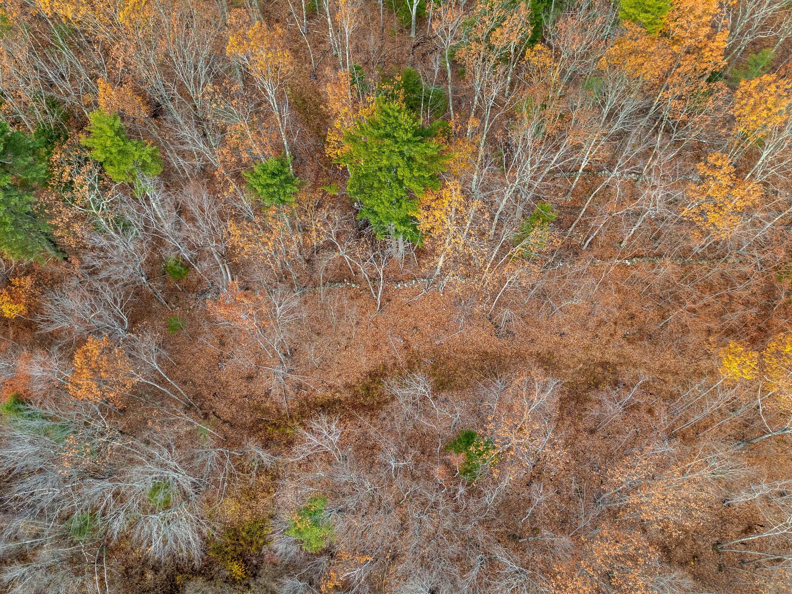 R01-l73 & R01-l73 & M8l32 Marsh Road Sabattus, ME 04280 - Photo 21 of 21 Map 8 ,Lot 32 Sabattus-Wales (21)