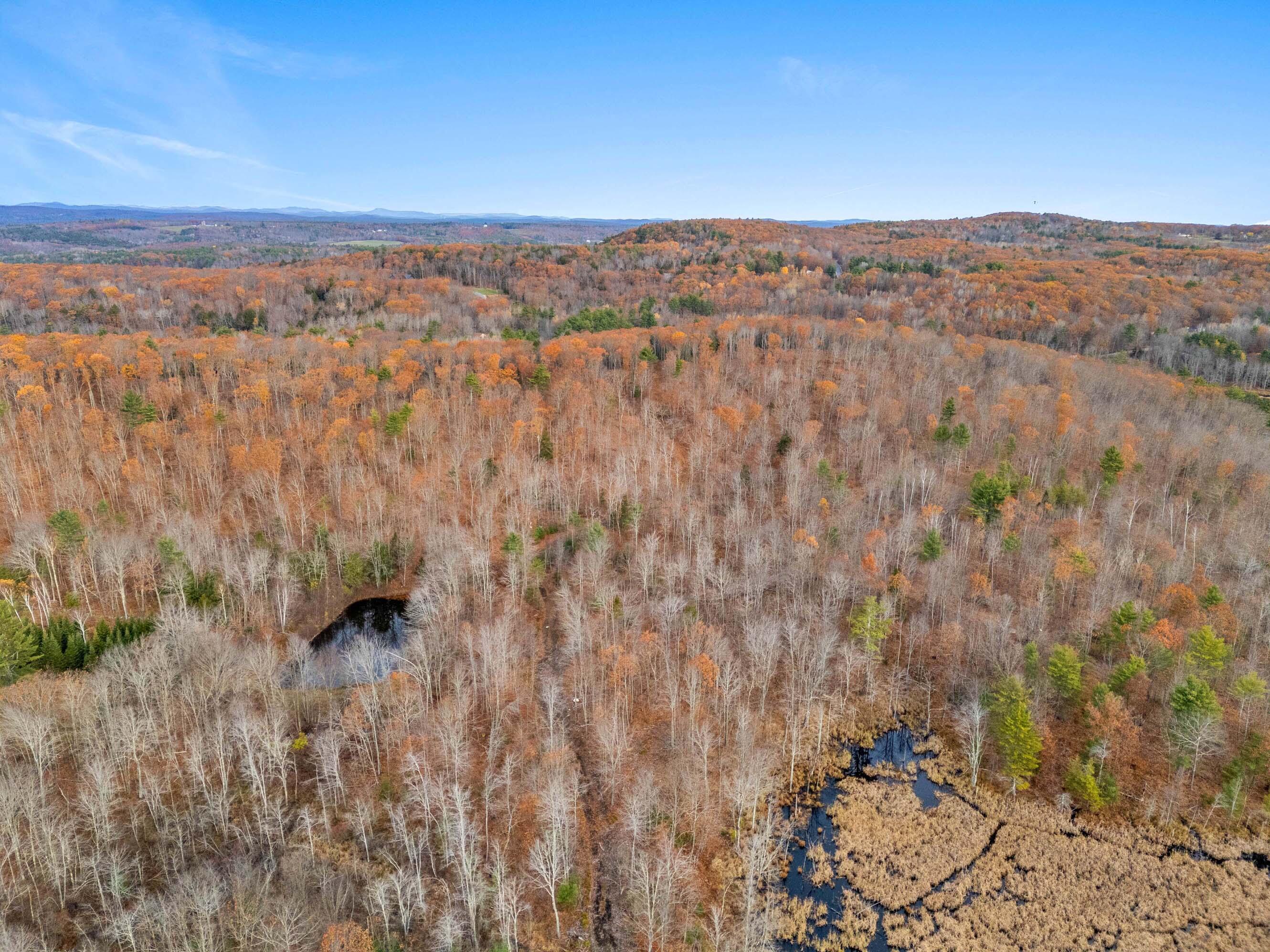 R01-l73 & R01-l73 & M8l32 Marsh Road Sabattus, ME 04280 - Photo 3 of 21 Map 8 ,Lot 32 Sabattus-Wales (3)