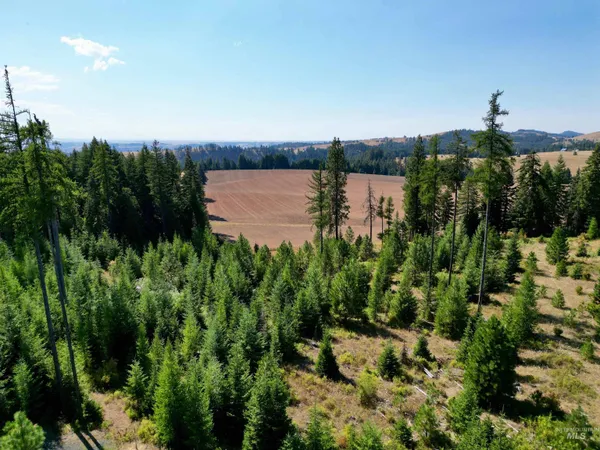 $139,900 | 1 Peaceful Valley Road, Kamiah, ID 83536