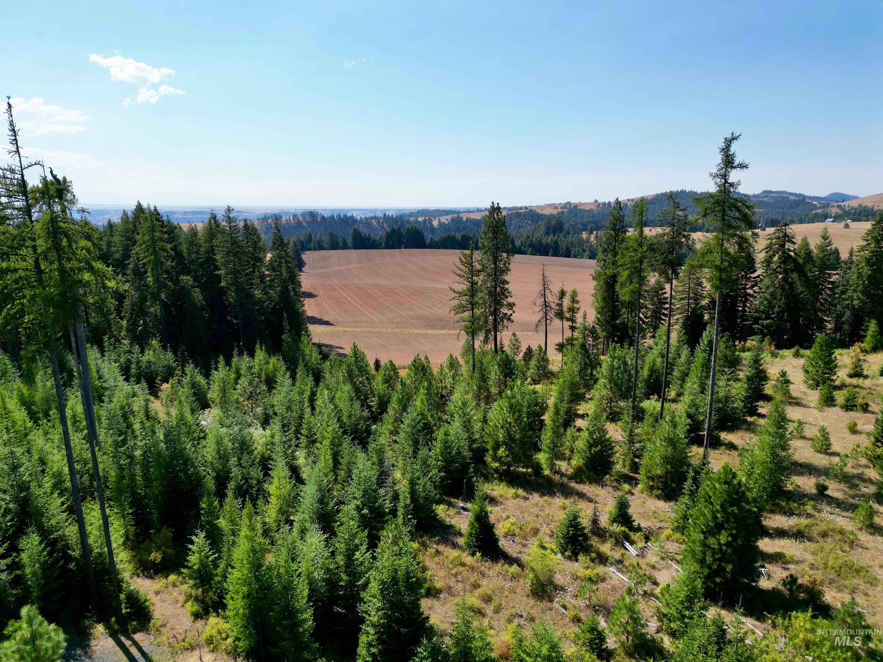 1 Peaceful Valley Road Kamiah, ID 83536 - Photo 1 of 10