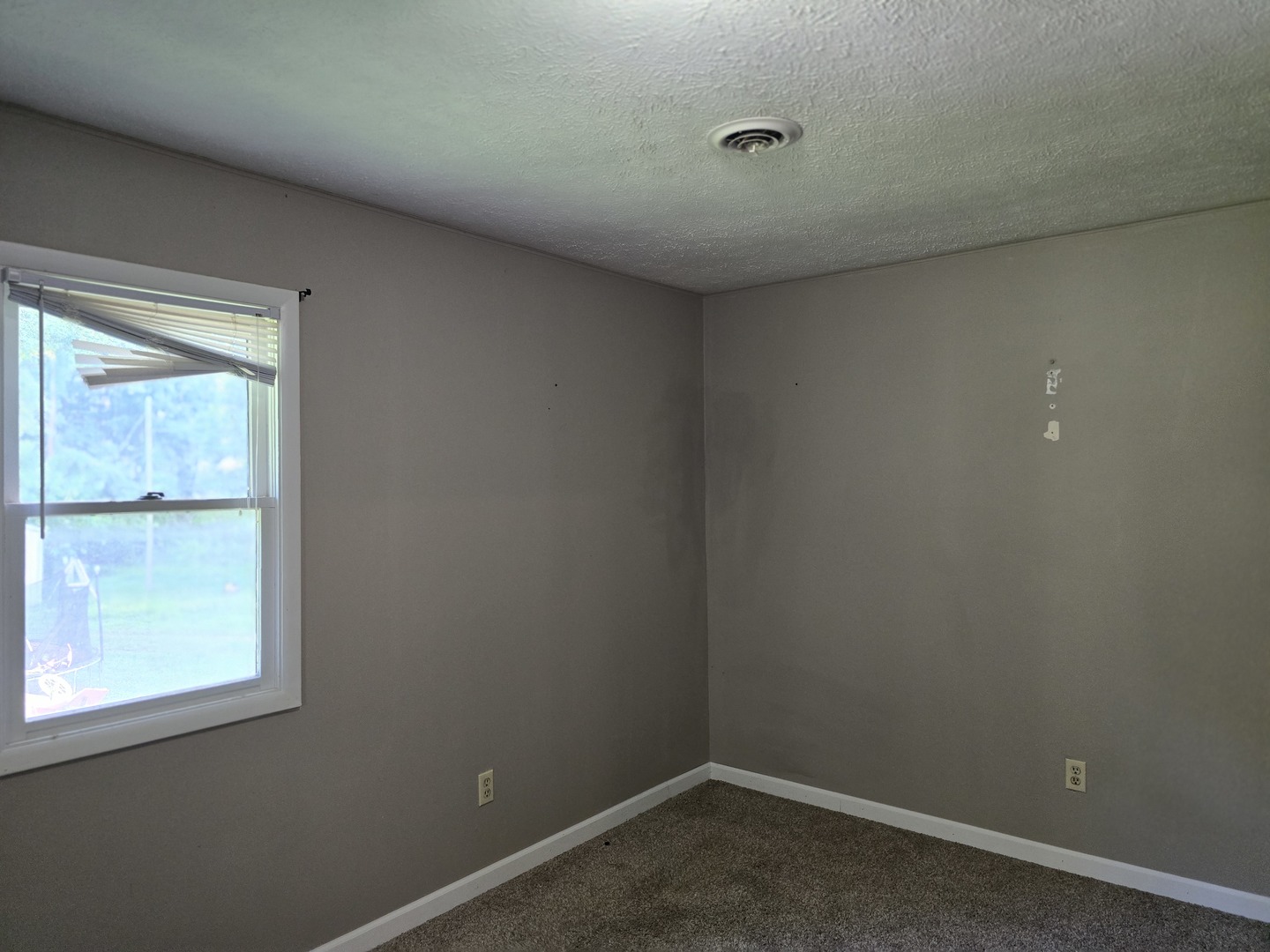 835 Jimtown Loop Anna, IL 62906 - Photo 26 of 30