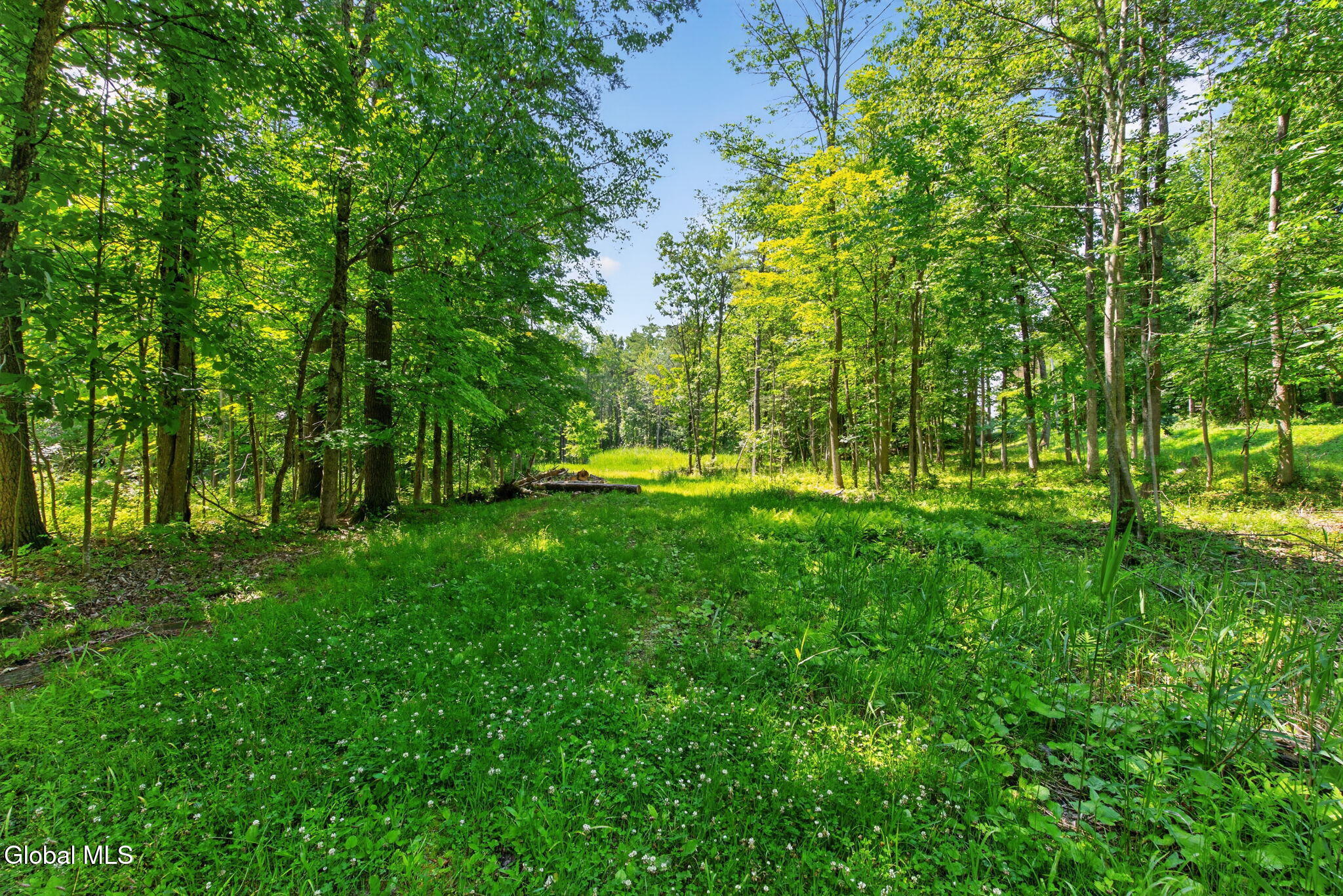 18-web-or-mls-ny-9l