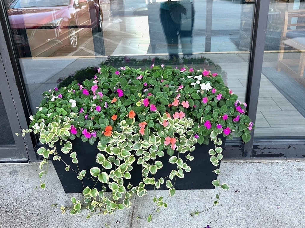 77 Adams Street, Unit 902 Quincy, MA 02169 - Photo 5 of 36 a flower view