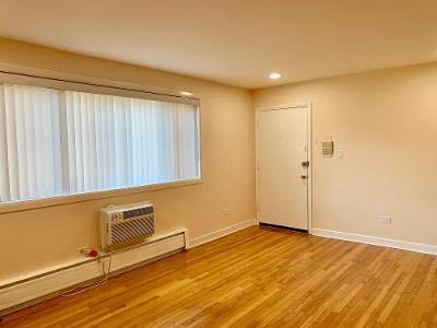 7019 North Ridge Boulevard, Unit 2C Chicago, IL 60645 - Photo 3 of 12 a view of an empty room