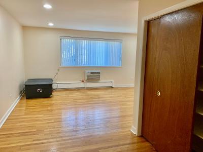 7019 North Ridge Boulevard, Unit 2C Chicago, IL 60645 - Photo 6 of 12 a room with wooden floor and bathroom
