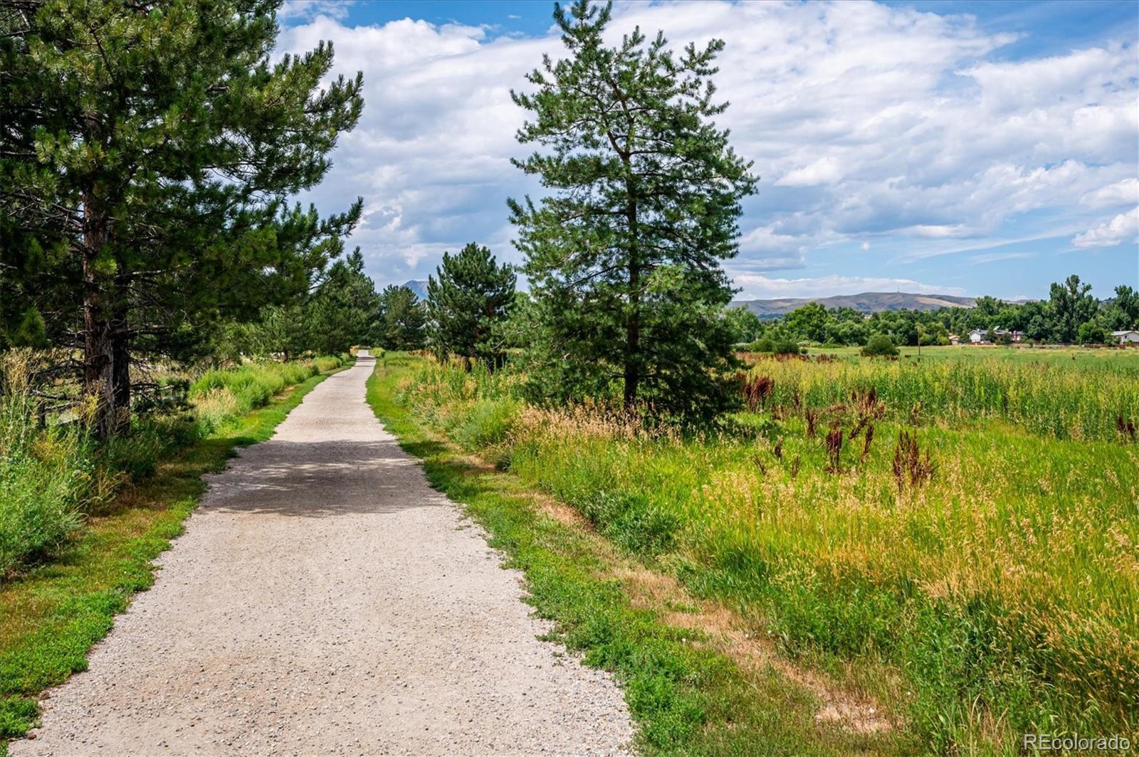 4143 South Deframe Court Morrison, CO 80465 - Photo 10 of 48 a view of a pathway in a garden
